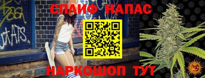спайс Кинель
