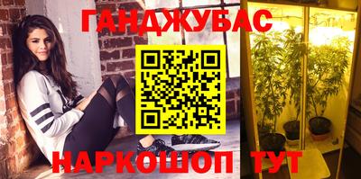 круглые Кингисепп
