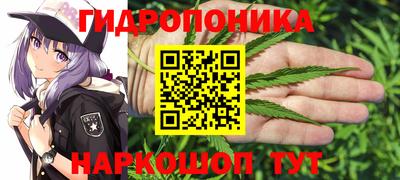 круглые Кингисепп
